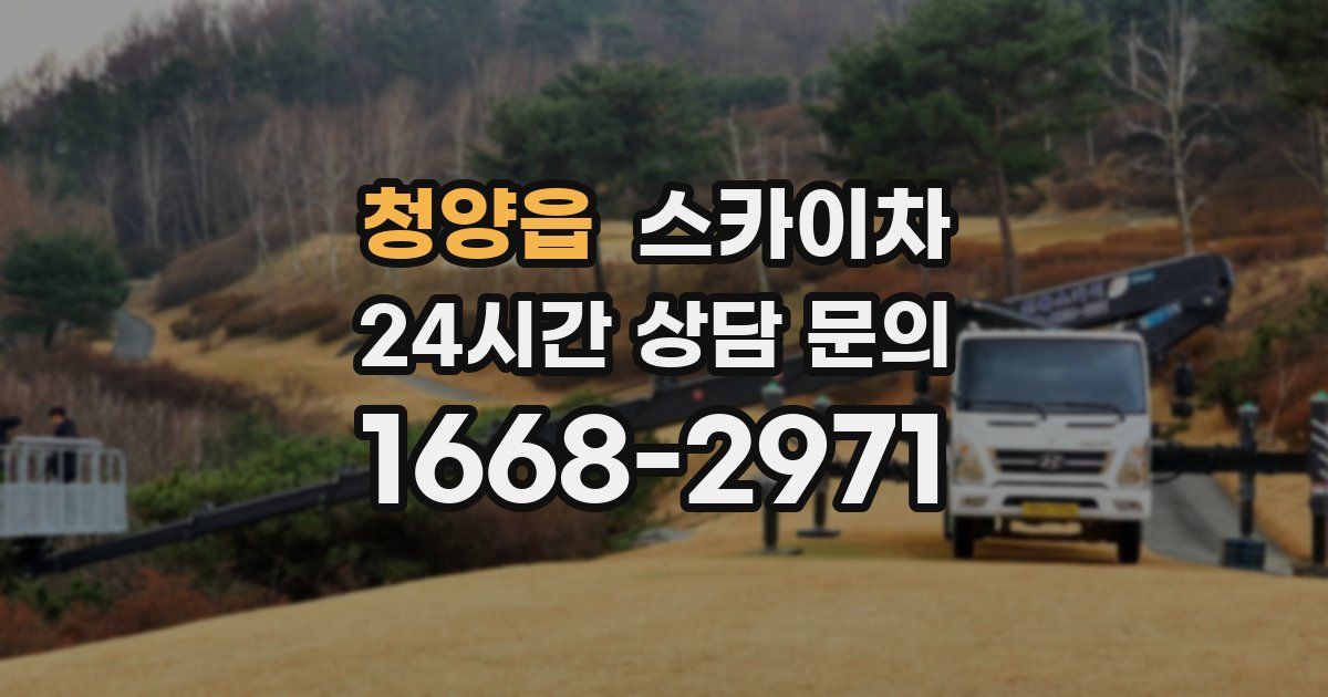 청양읍 스카이차