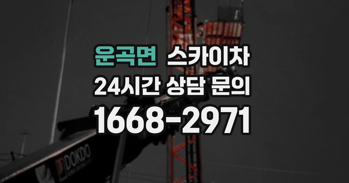 운곡면 스카이차