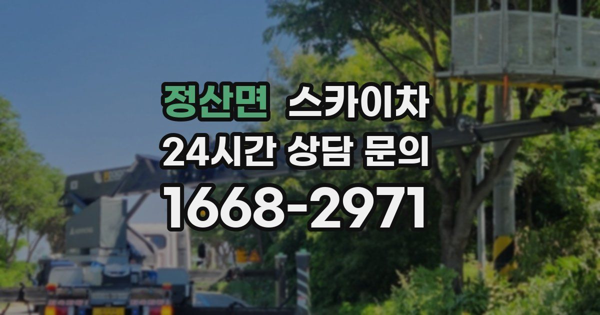 정산면 스카이차