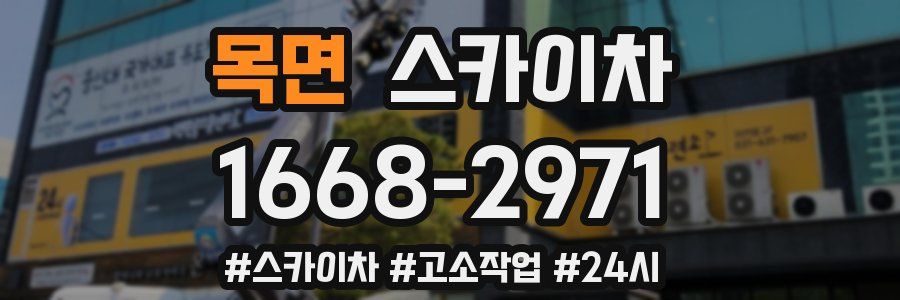 목면 스카이차
