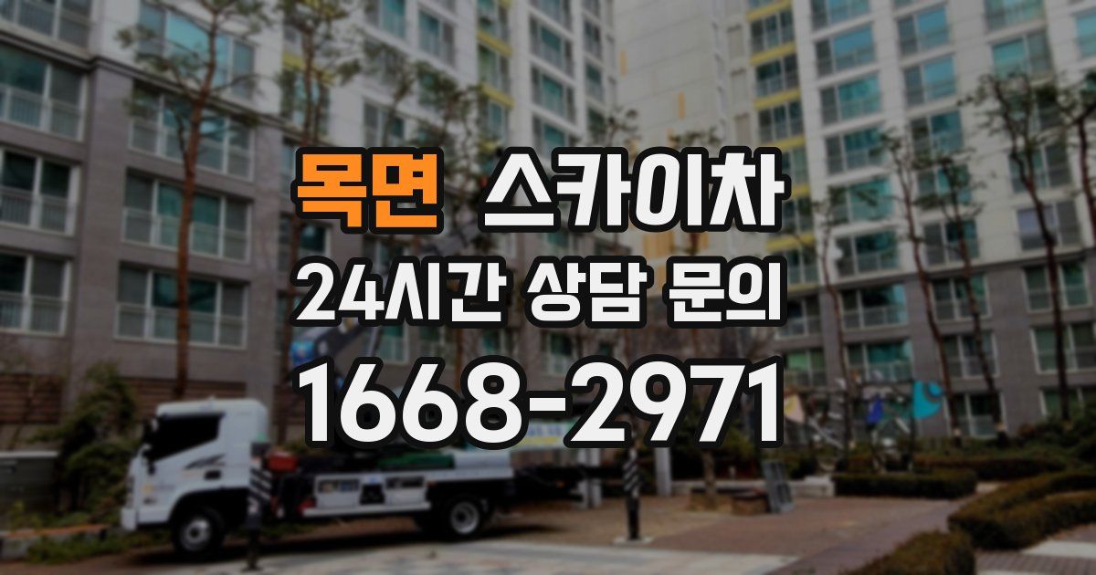 목면 스카이차