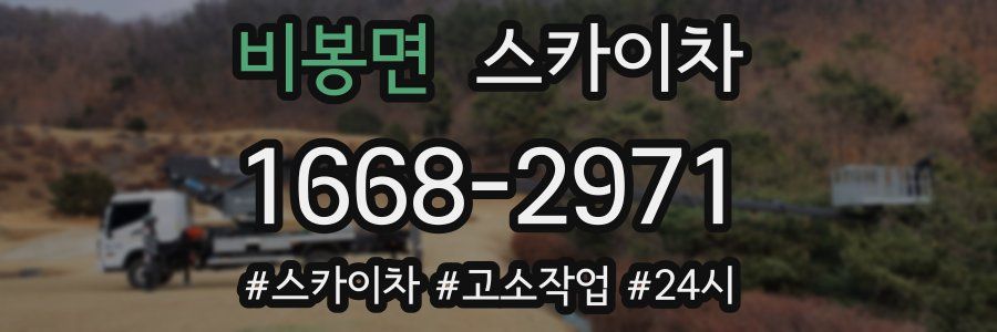 비봉면 스카이차