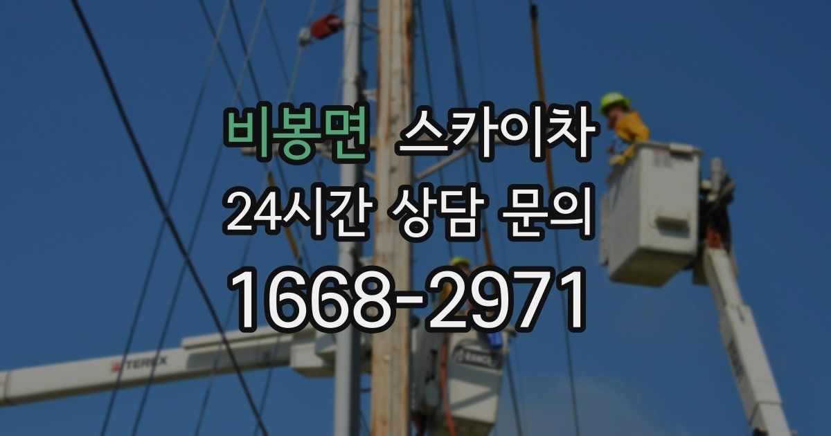 비봉면 스카이차