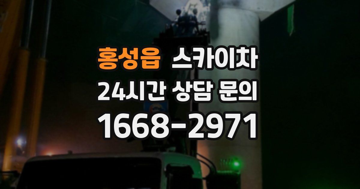 홍성읍 스카이차