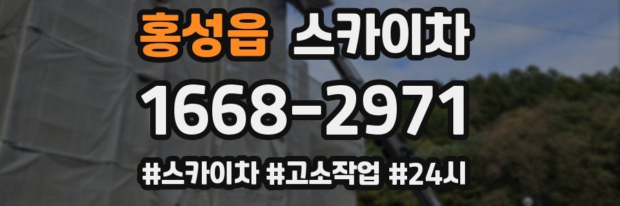 홍성읍 스카이차
