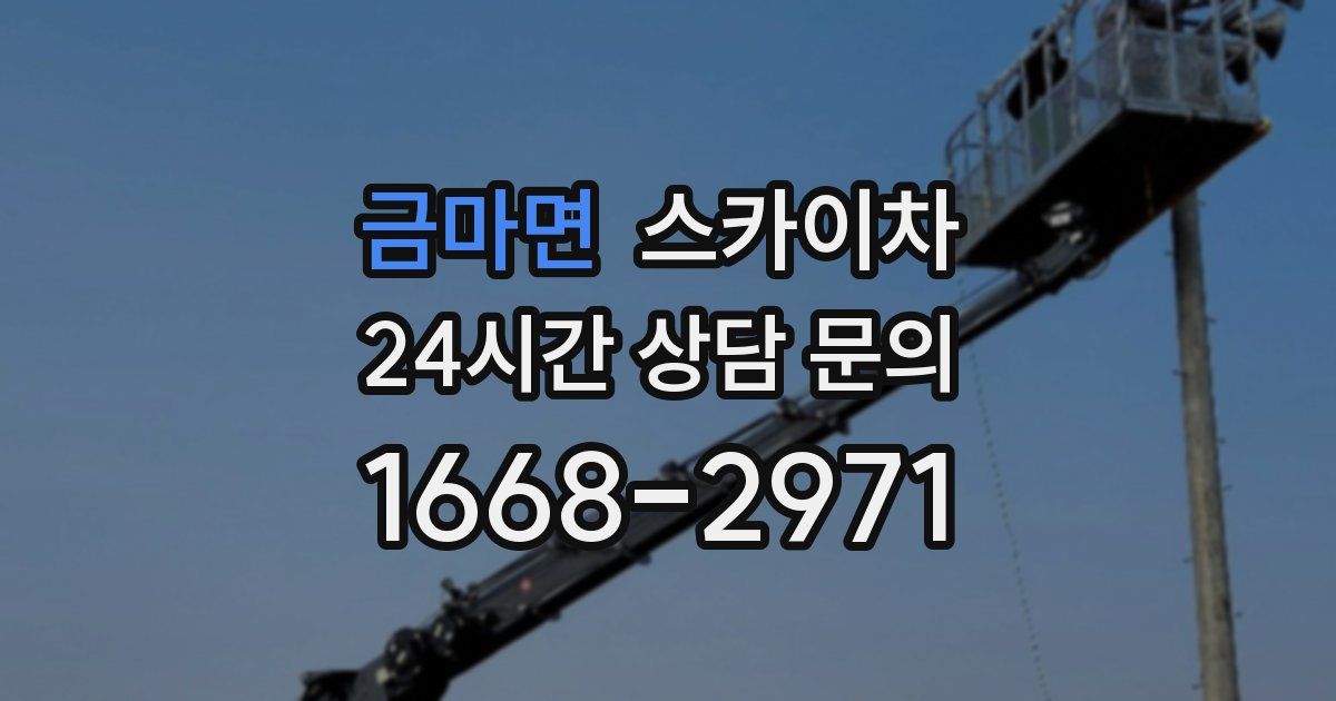 금마면 스카이차