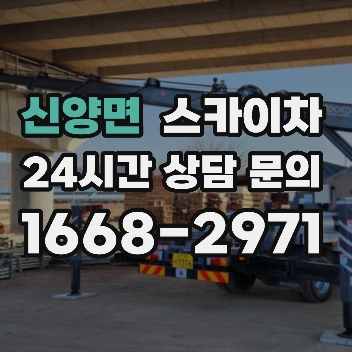 신양면 스카이차