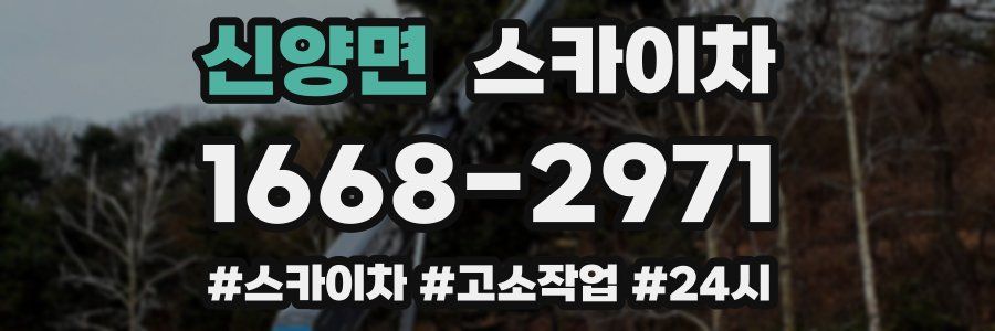 신양면 스카이차