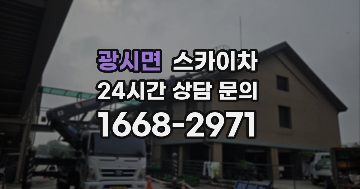 광시면 스카이차