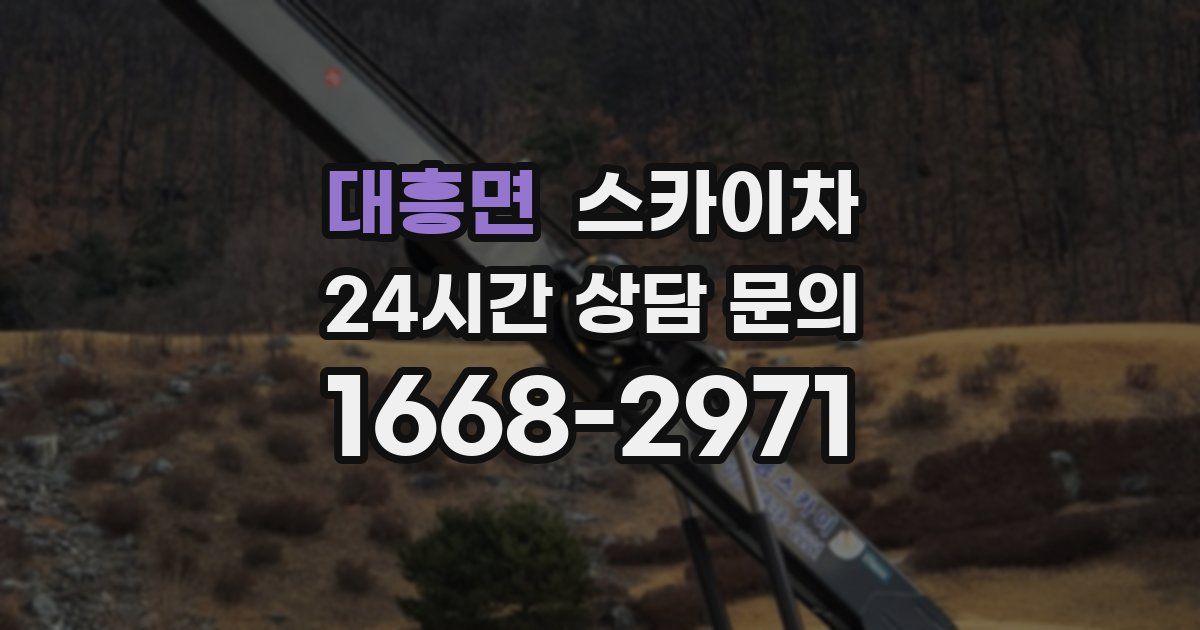 대흥면 스카이차