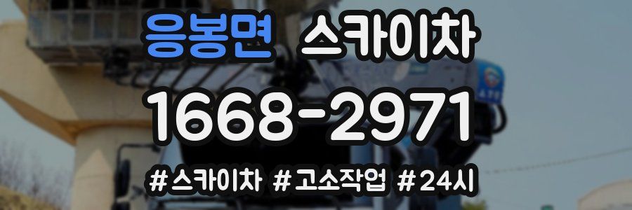 응봉면 스카이차