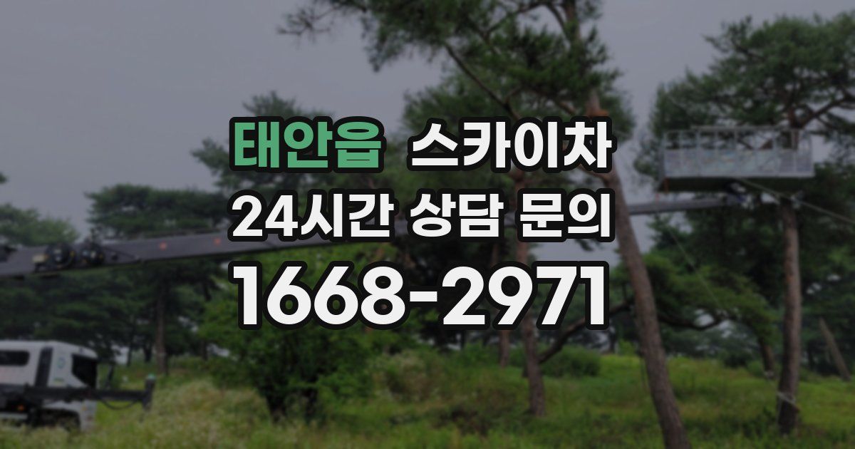 태안읍 스카이차