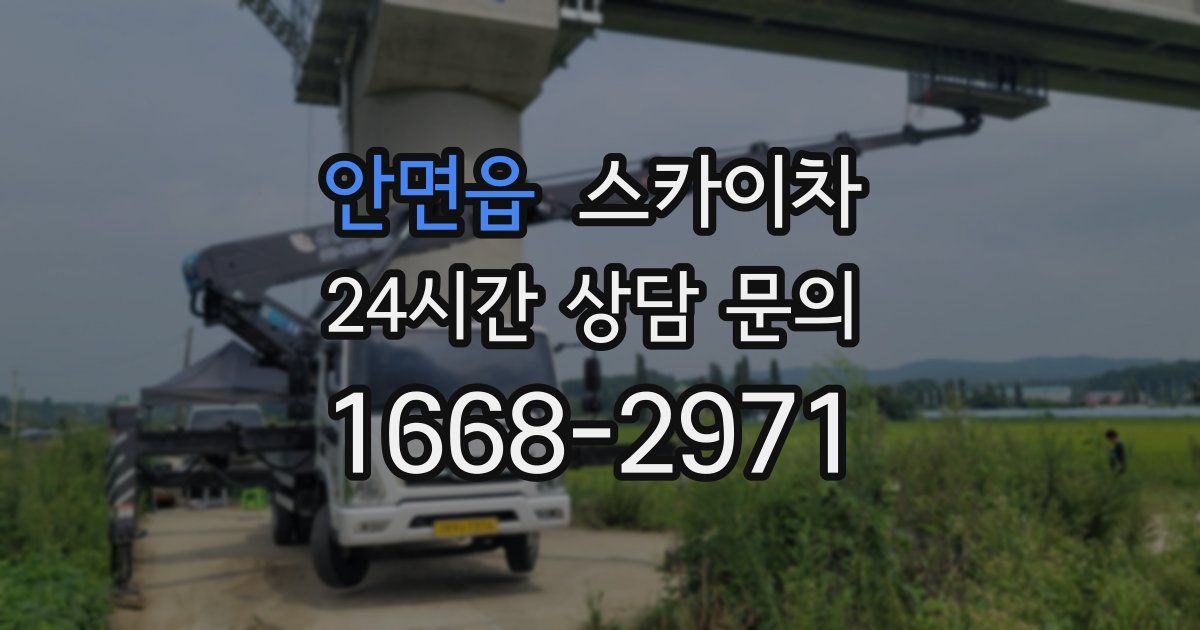 안면읍 스카이차