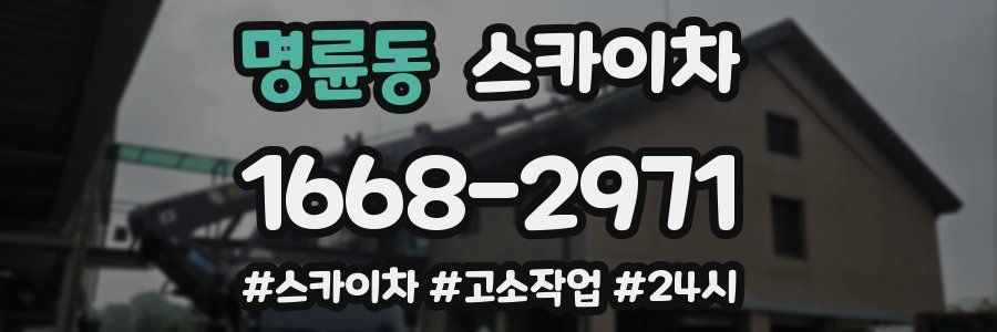 명륜동 스카이차