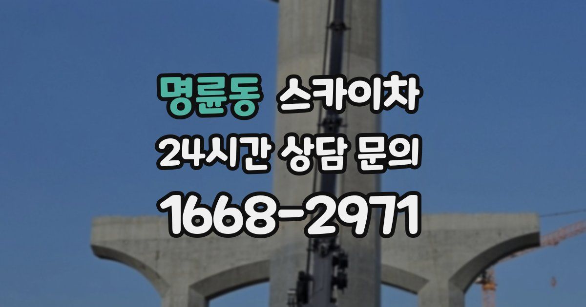 명륜동 스카이차