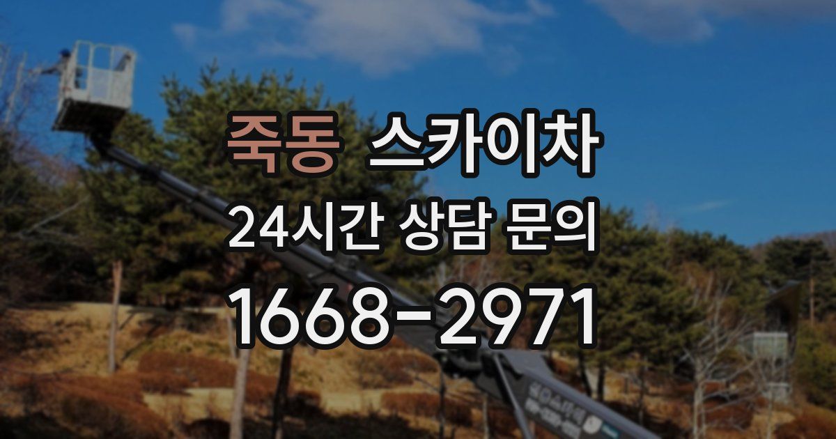 죽동 스카이차