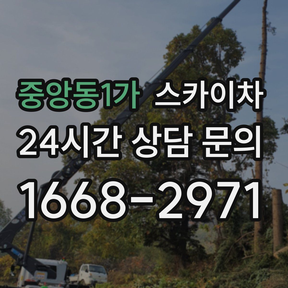 중앙동1가 스카이차