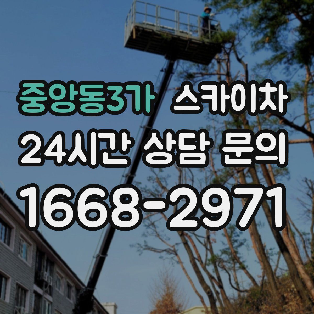 중앙동3가 스카이차