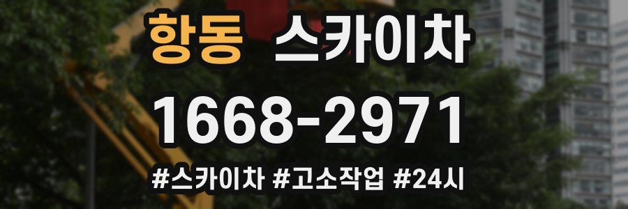 항동 스카이차