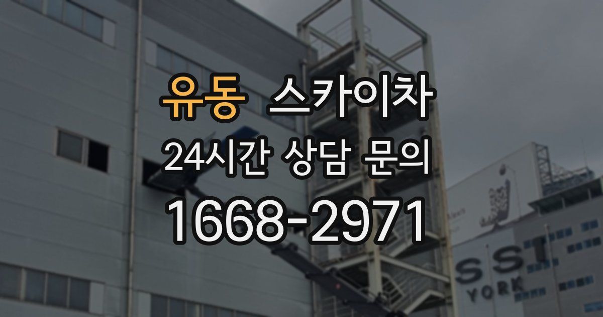 유동 스카이차