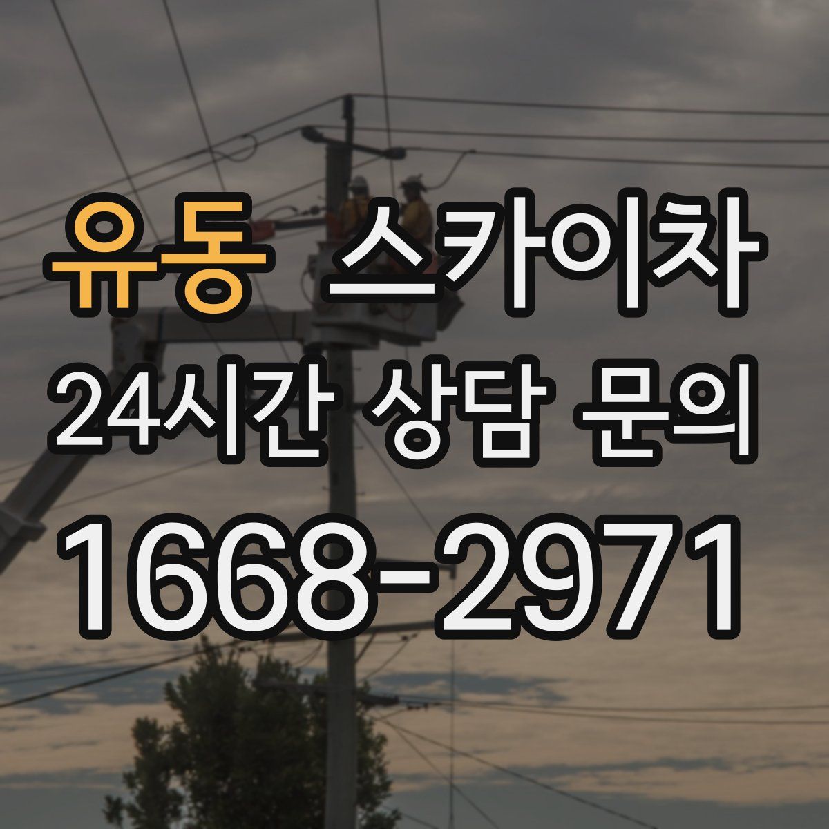 유동 스카이차
