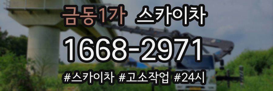 금동1가 스카이차