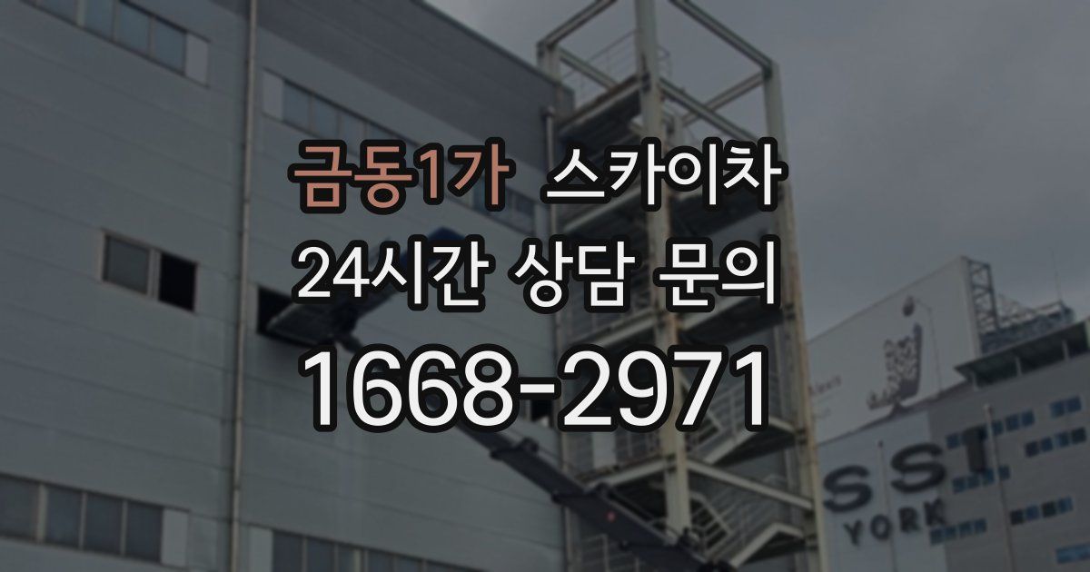 금동1가 스카이차