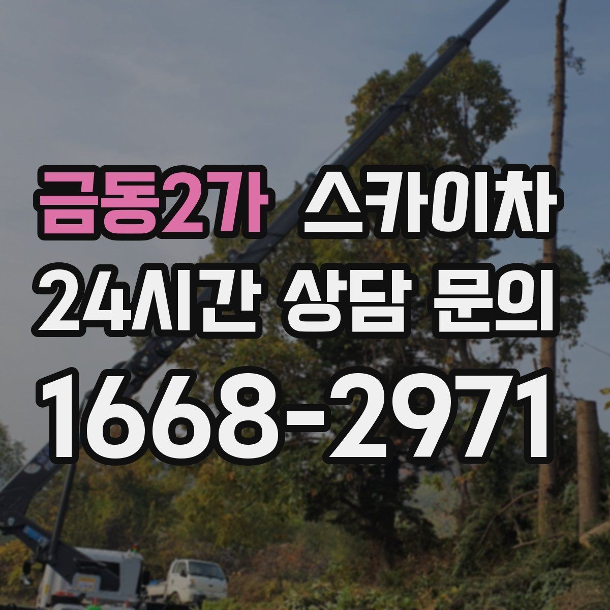 금동2가 스카이차 높이와 작업 시간에 따른 비용 기준