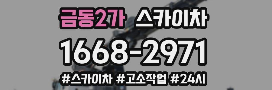 금동2가 스카이차