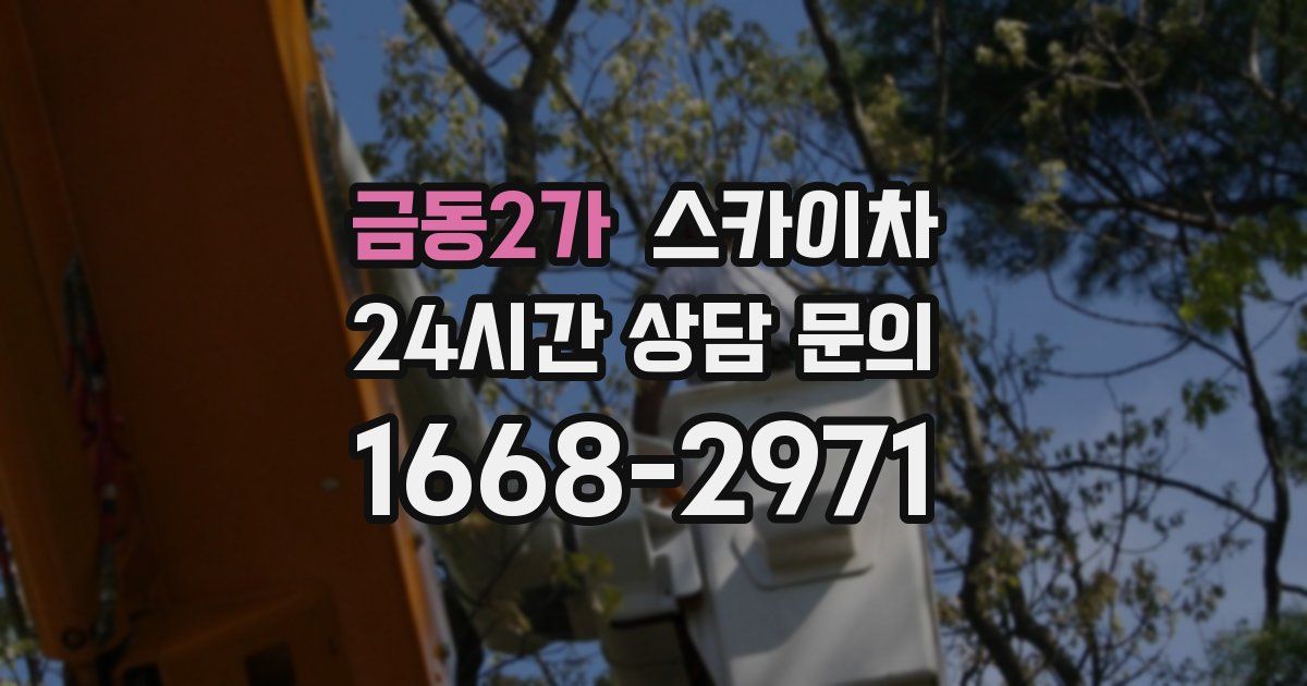 금동2가 스카이차
