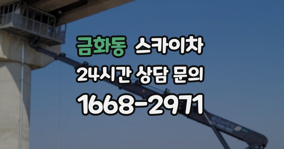 금화동 스카이차