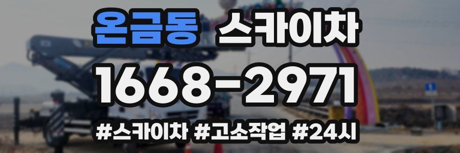 온금동 스카이차