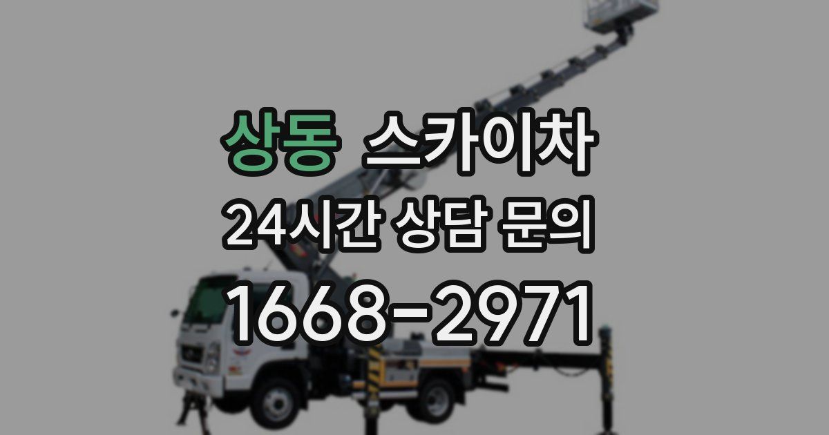 상동 스카이차