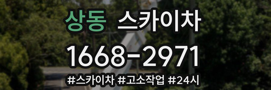 상동 스카이차