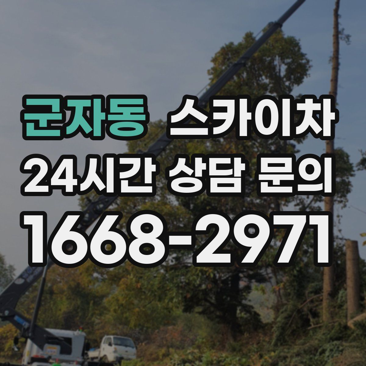 군자동 스카이차
