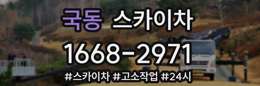 국동 스카이차
