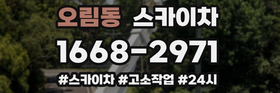 오림동 스카이차