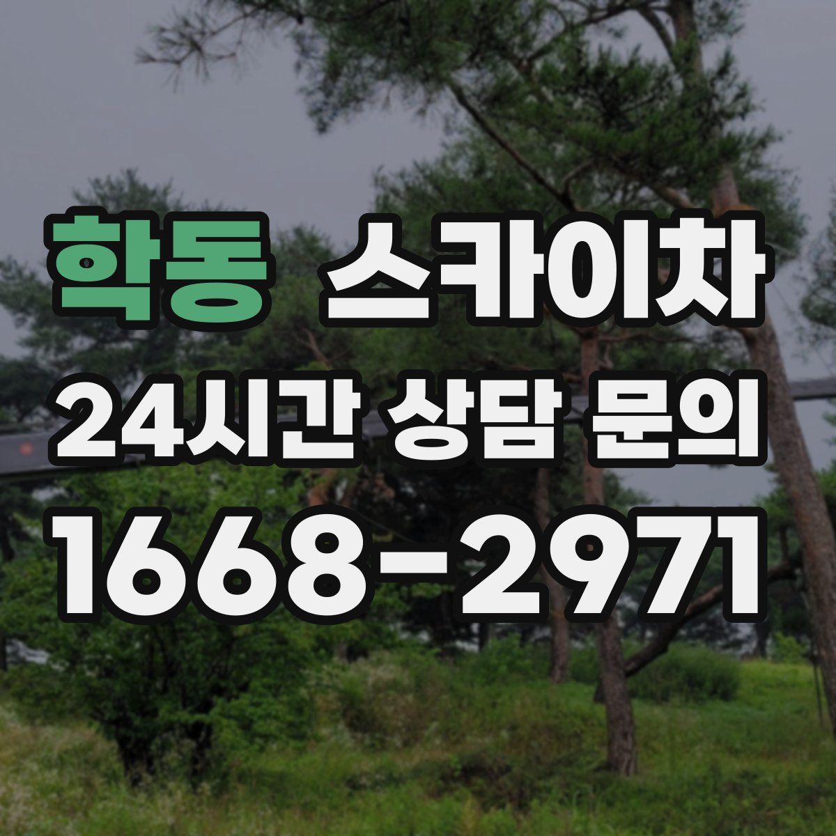 학동 스카이차