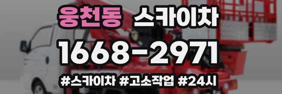 웅천동 스카이차