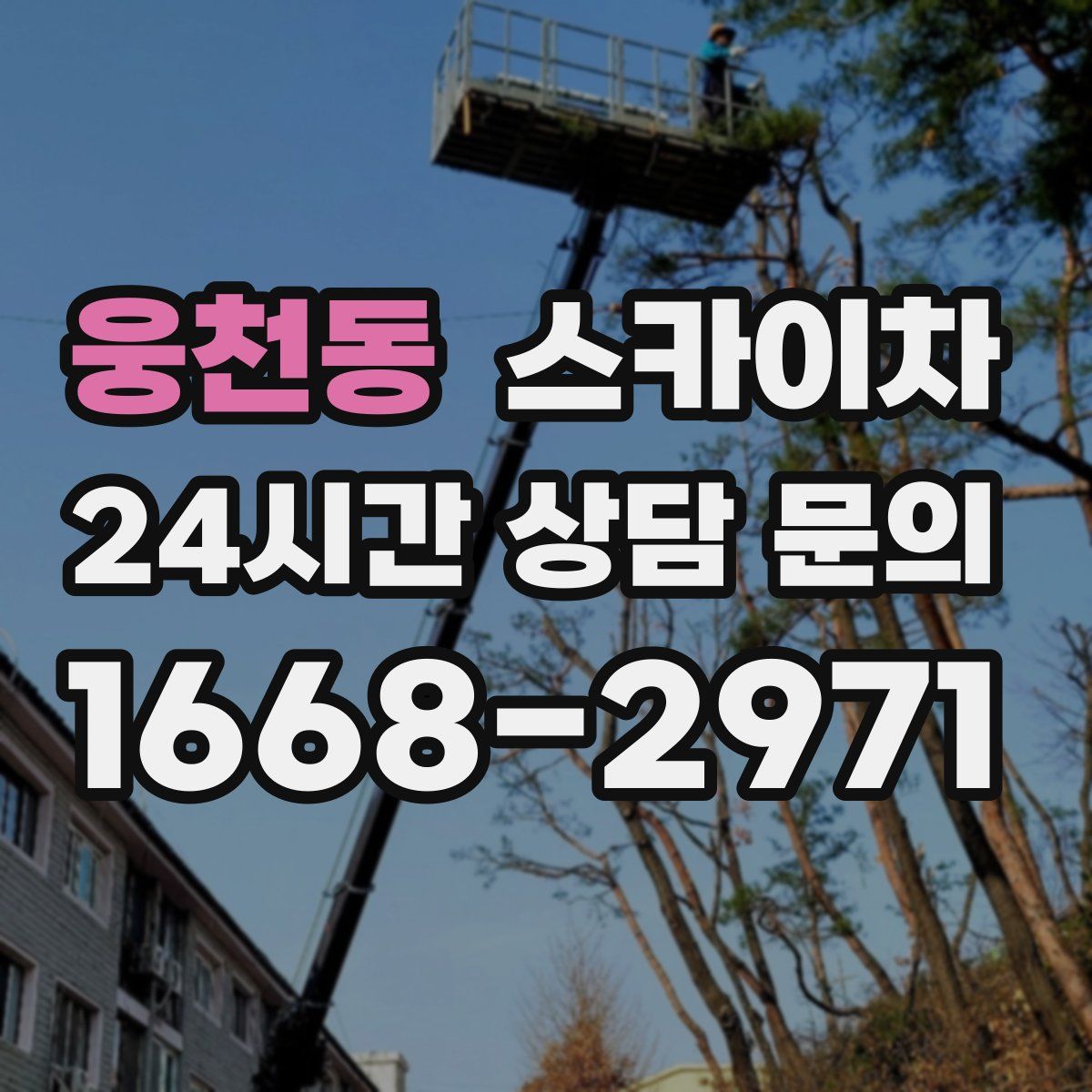 웅천동 스카이차