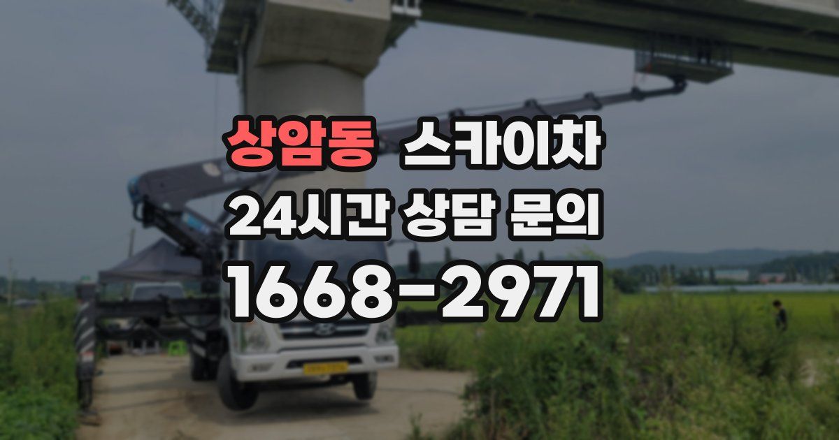 상암동 스카이차
