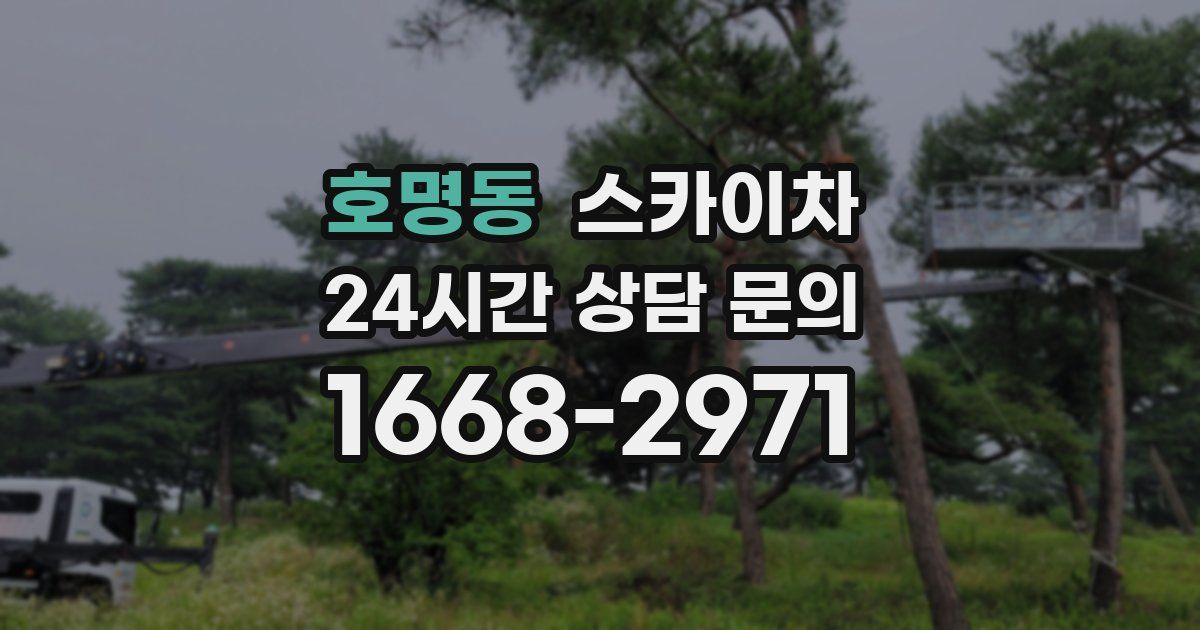 호명동 스카이차