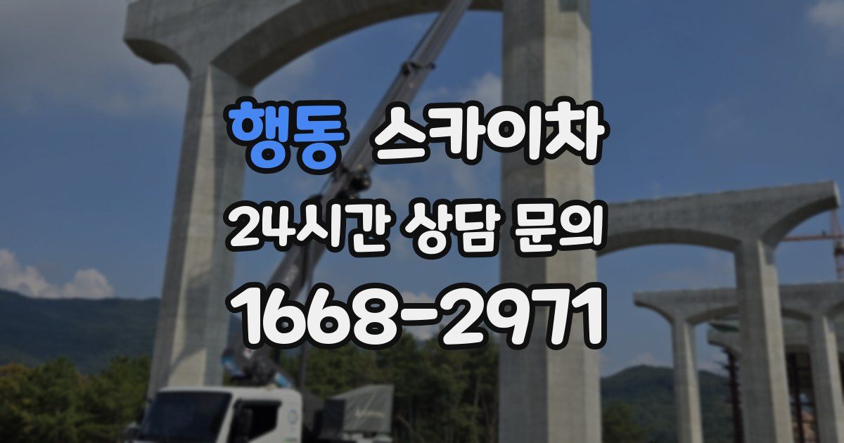 행동 스카이차