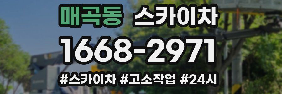 매곡동 스카이차