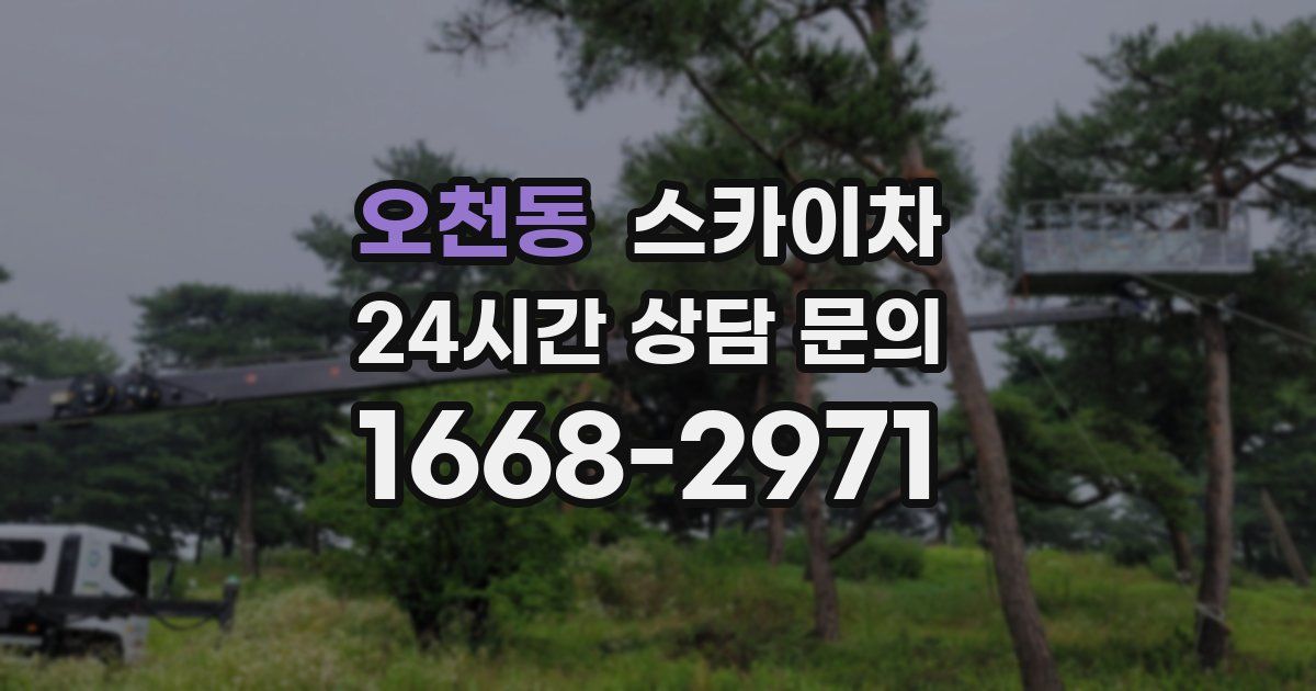 오천동 스카이차