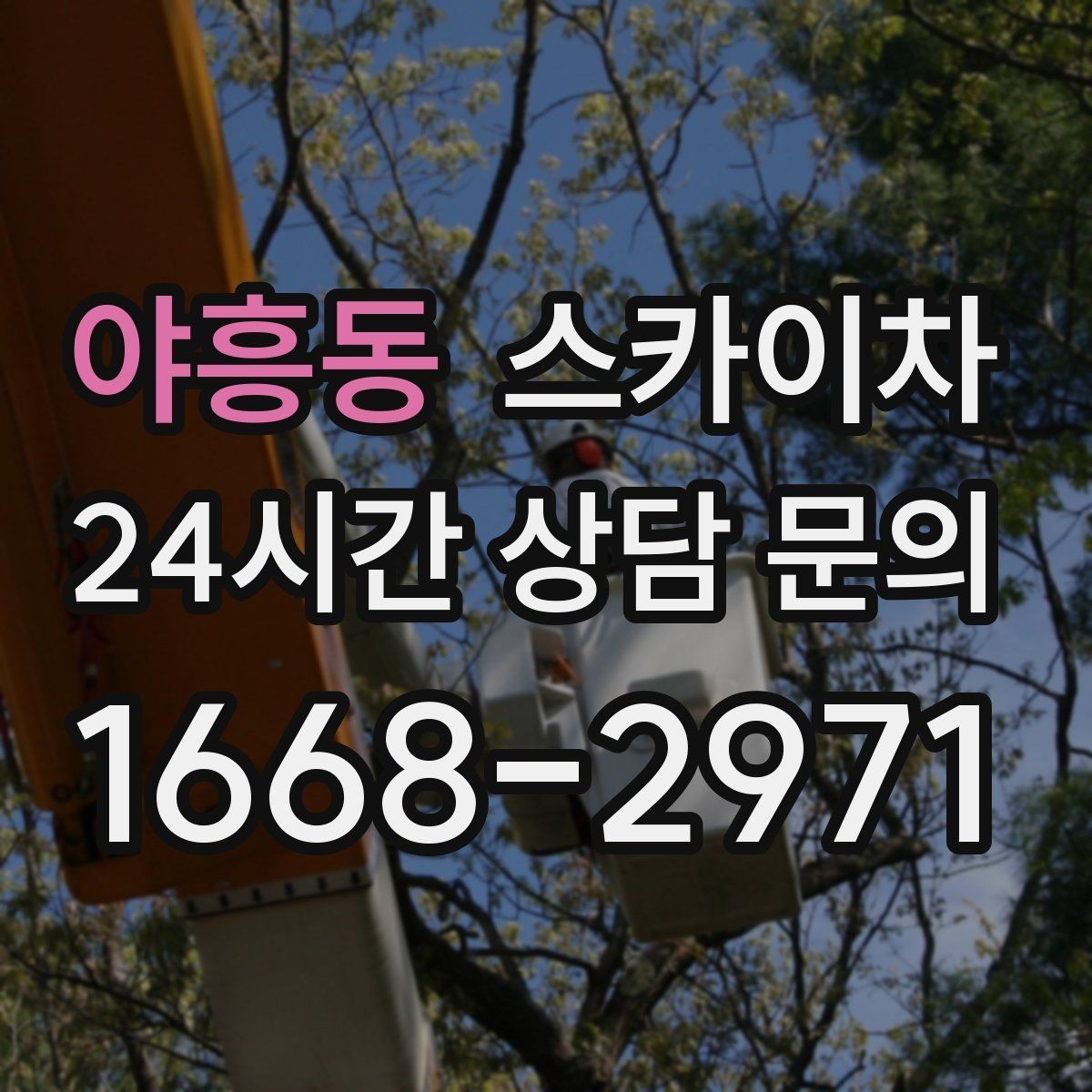 야흥동 스카이차 안전 콘과 안내 표지 설치가 중요한 이유