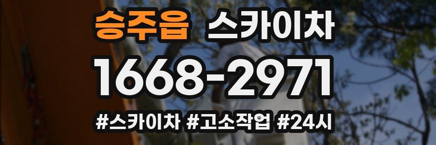 승주읍 스카이차