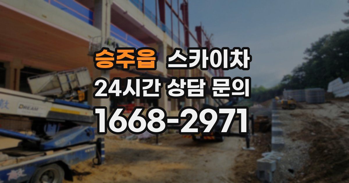 승주읍 스카이차