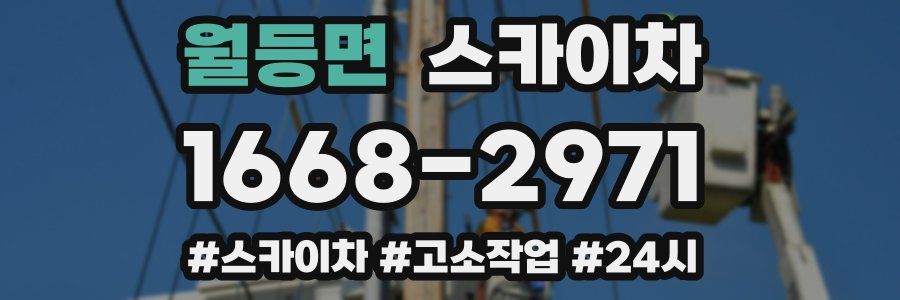 월등면 스카이차