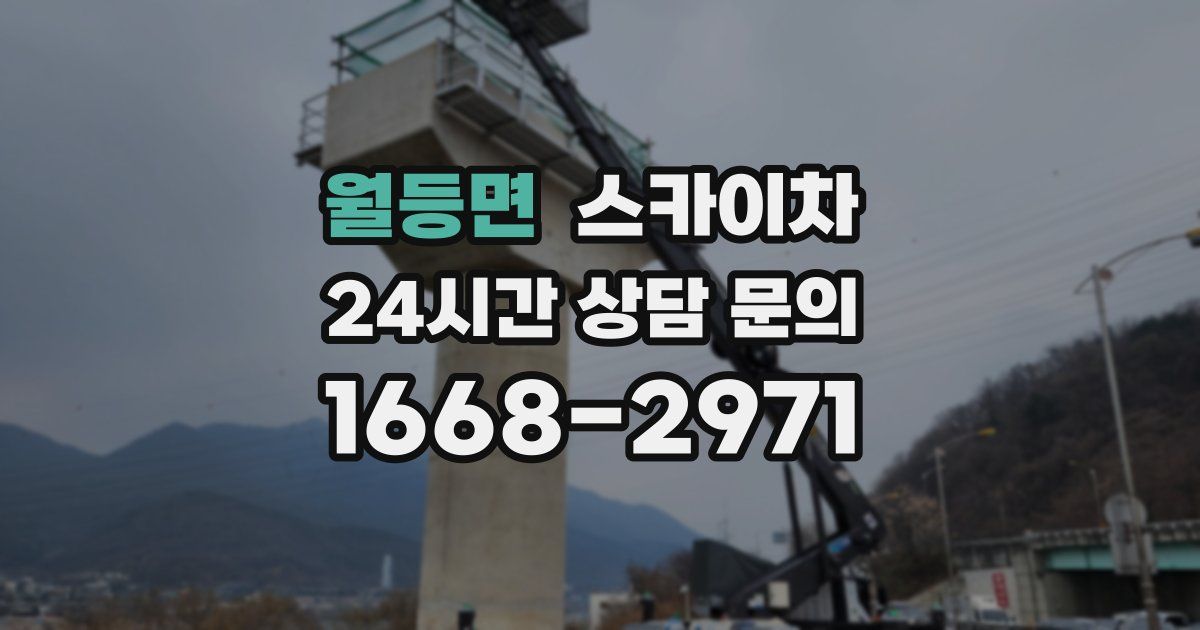 월등면 스카이차